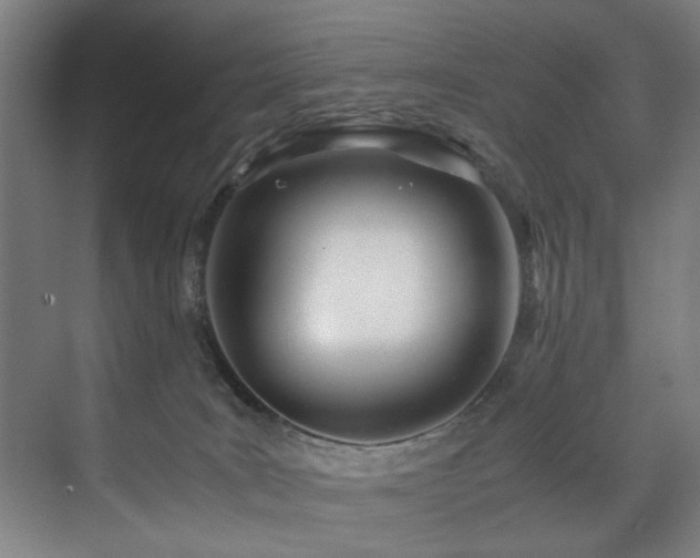 X0000072520035200607141209