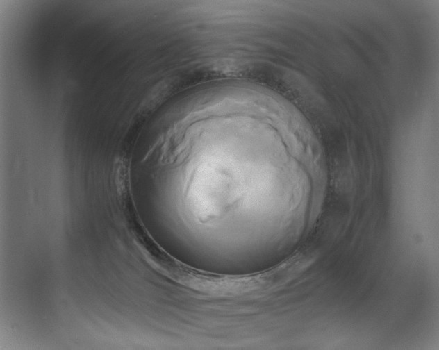 X0000072520036200607141209