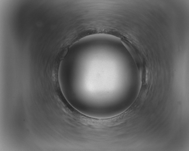 X0000072520039200607141209