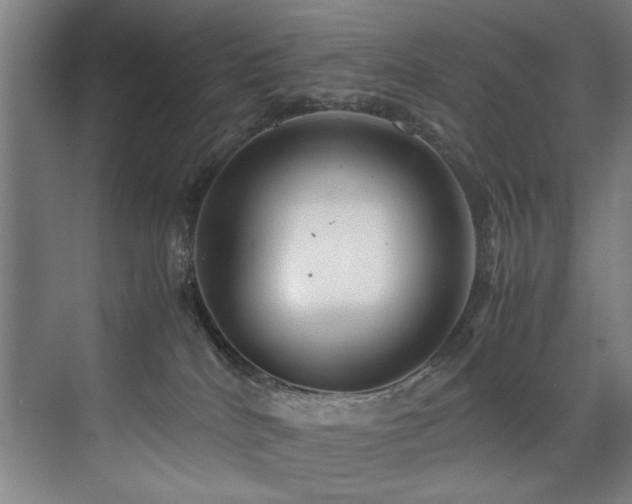 X0000072520040200607141209