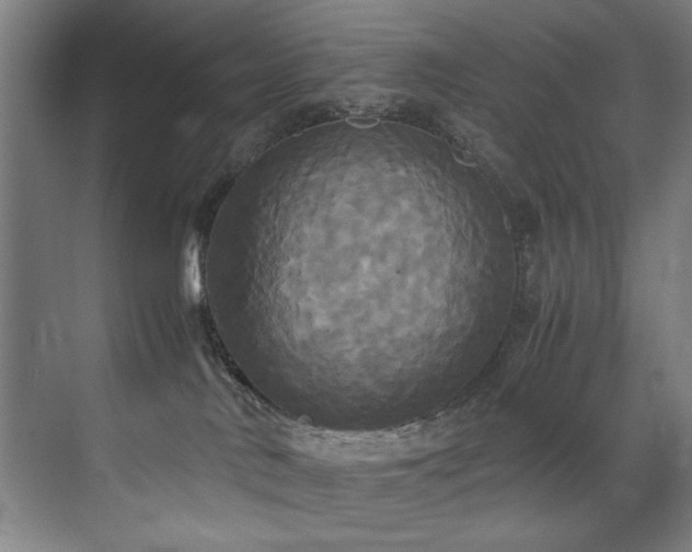 X0000072520042200607141209