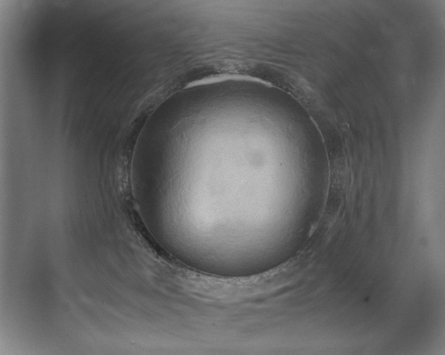 X0000072520043200607141209