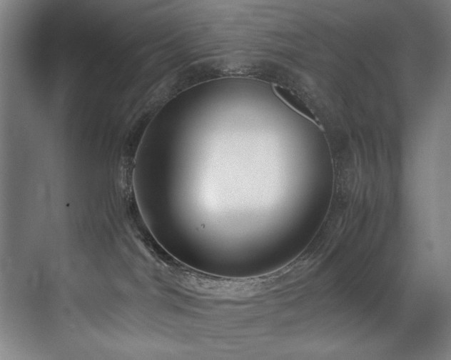 X0000072520044200607141209