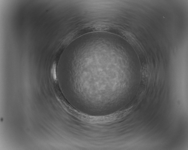 X0000072520046200607141209