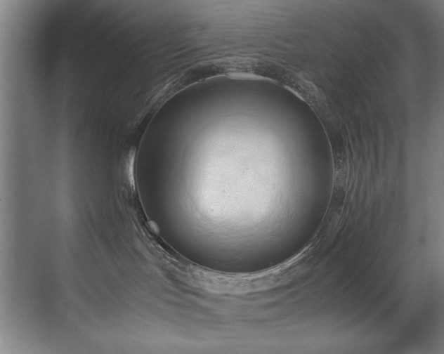 X0000072520047200607141209