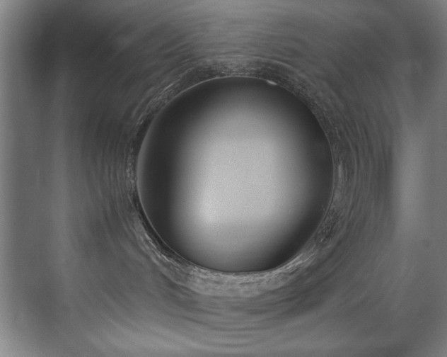 X0000072520048200607141209