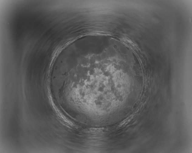 X0000072520049200607141208