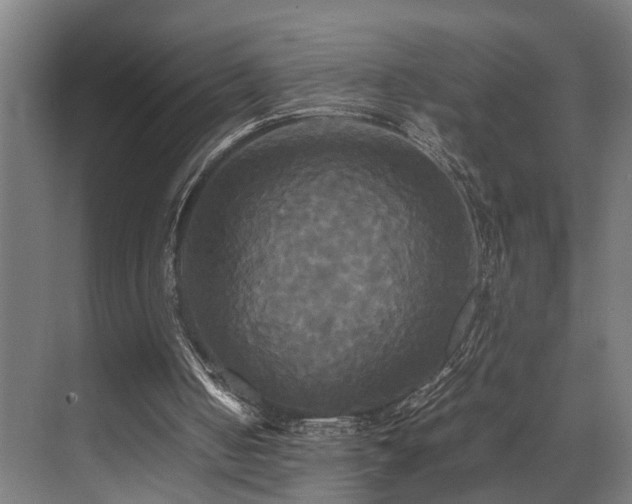 X0000072520050200607141208