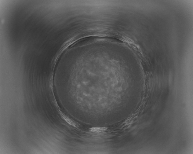 X0000072520051200607141208