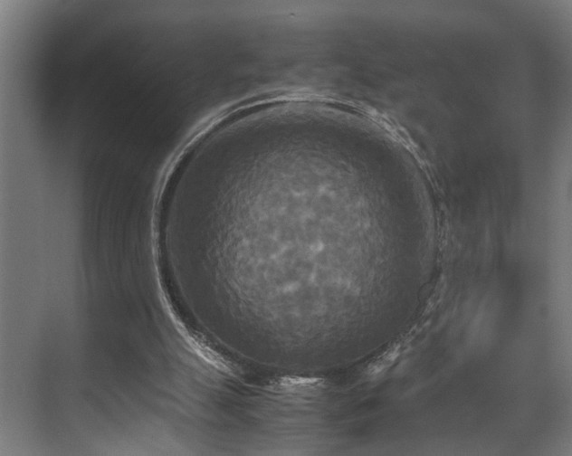 X0000072520055200607141208