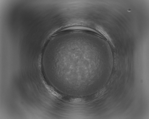 X0000072520058200607141208