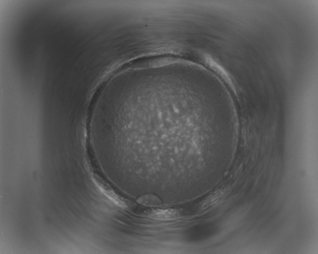 X0000072520059200607141208