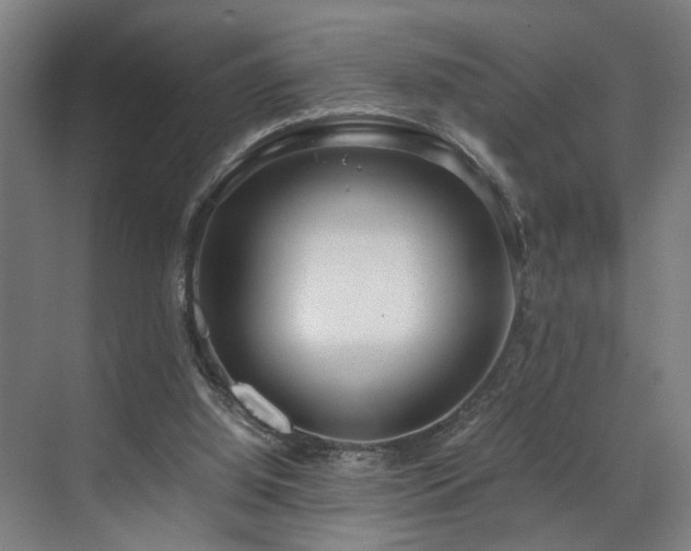 X0000072520060200607141208