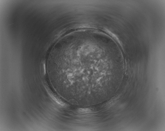 X0000072520061200607141208