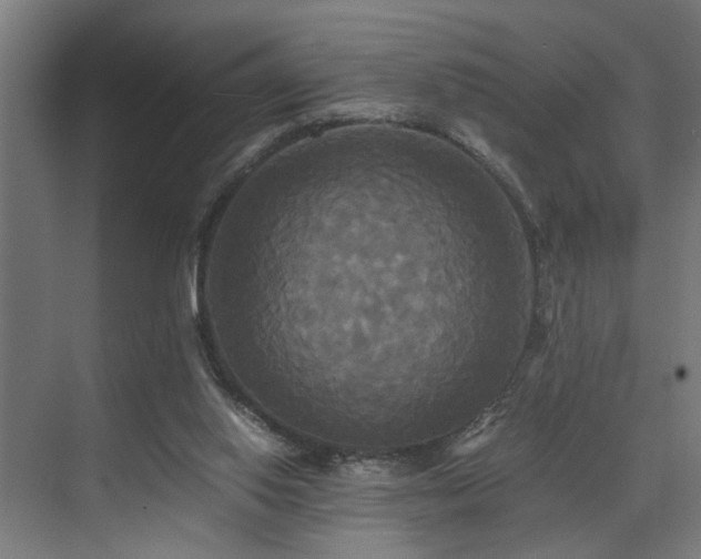 X0000072520062200607141208