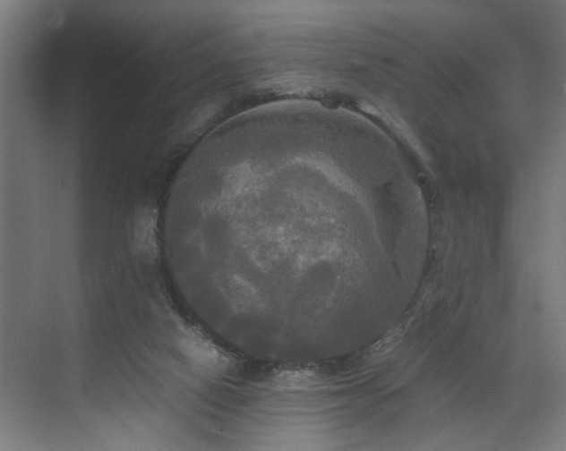 X0000072520066200607141209