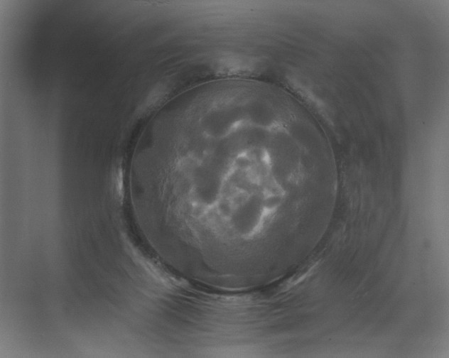 X0000072520067200607141209