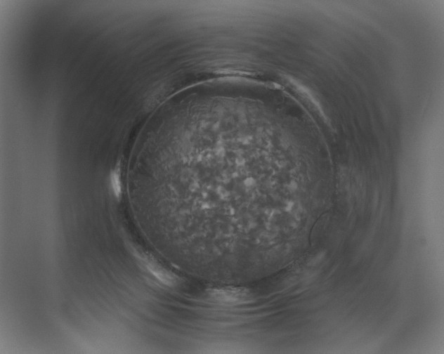 X0000072520069200607141209