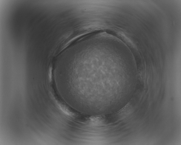 X0000072520070200607141209