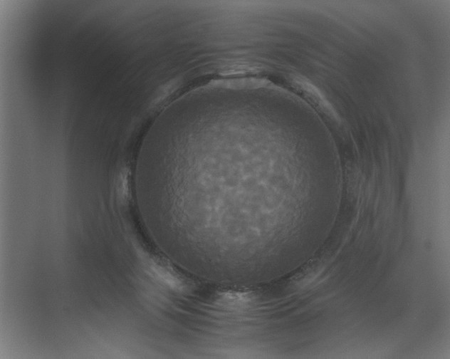 X0000072520071200607141209