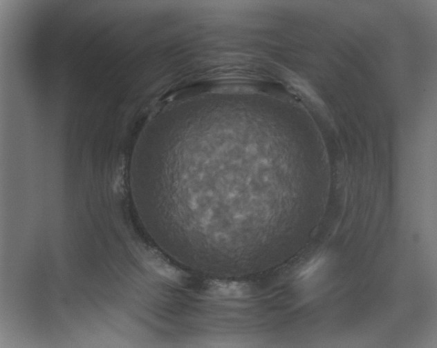 X0000072520073200607141209