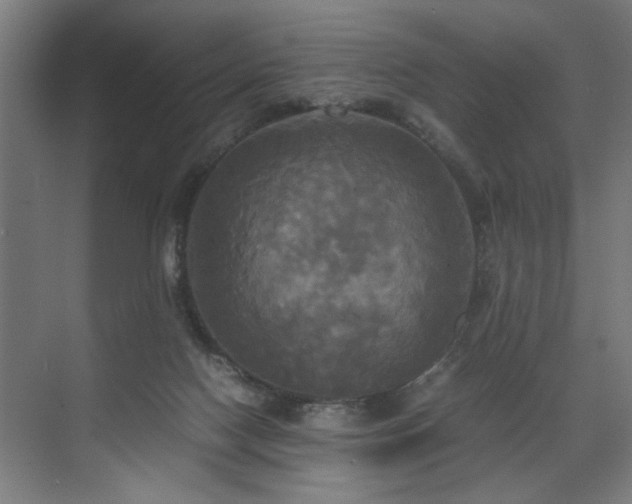 X0000072520074200607141209