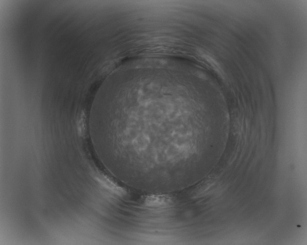 X0000072520077200607141209