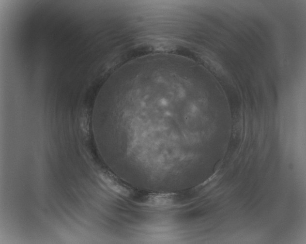 X0000072520078200607141209