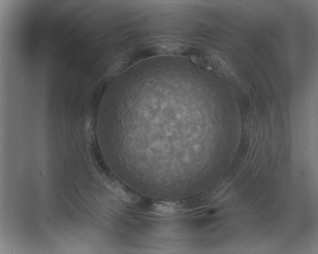 X0000072520079200607141209