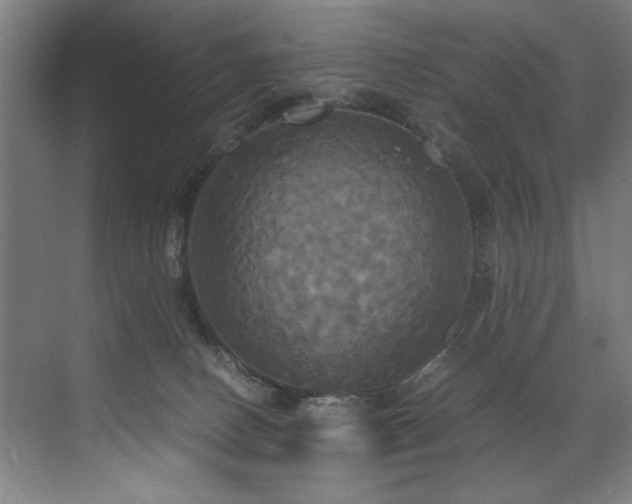 X0000072520082200607141209