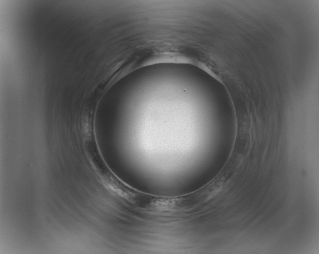 X0000072520084200607141209