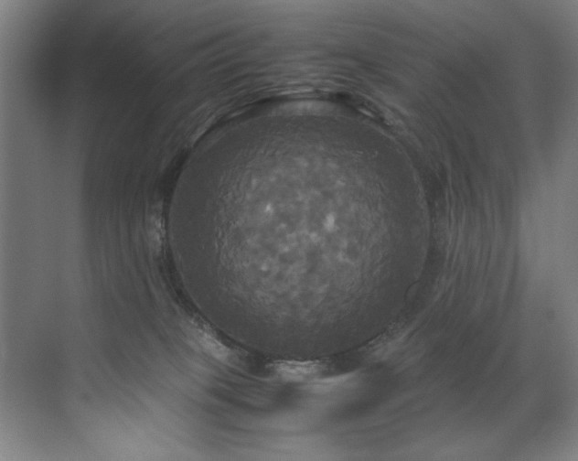 X0000072520085200607141209