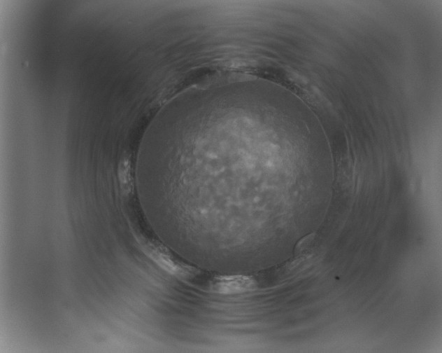 X0000072520087200607141209