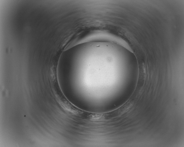 X0000072520088200607141209