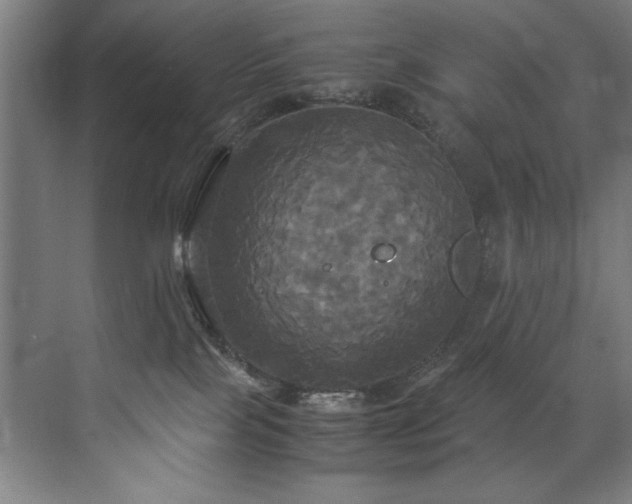 X0000072520089200607141209