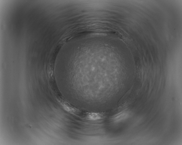 X0000072520091200607141209