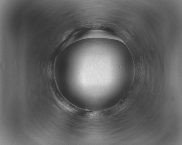 X0000072520092200607141209