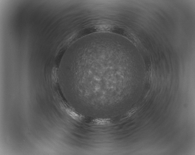 X0000072520093200607141209