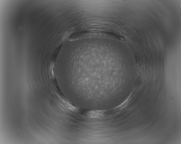 X0000072520094200607141209