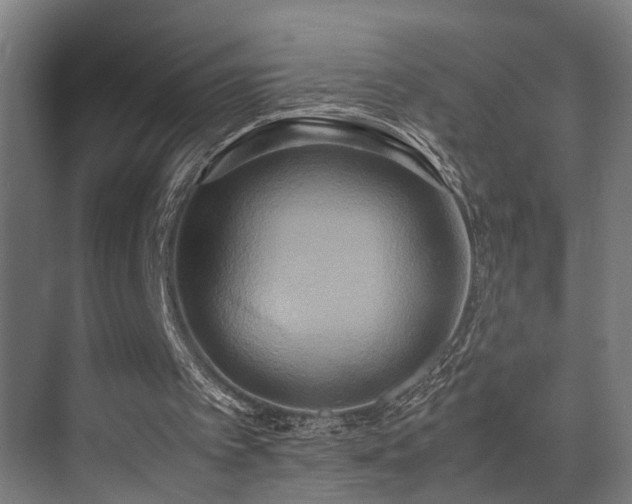 X0000072520097200607141208