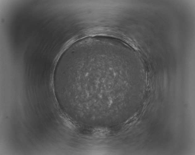 X0000072520099200607141208