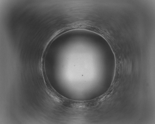 X0000072520100200607141208