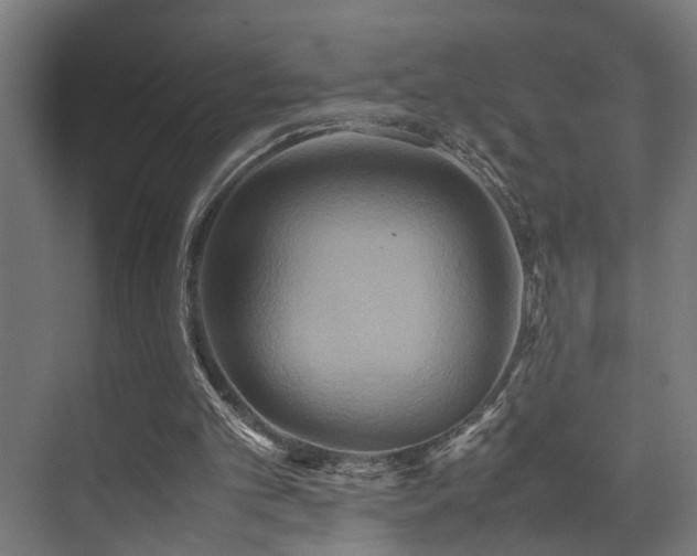 X0000072520101200607141208