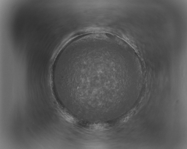 X0000072520103200607141208