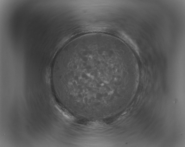 X0000072520107200607141208