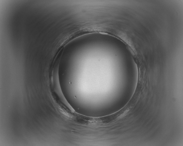 X0000072520109200607141208