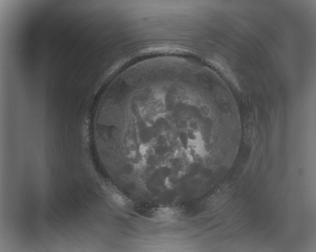 X0000072520111200607141208