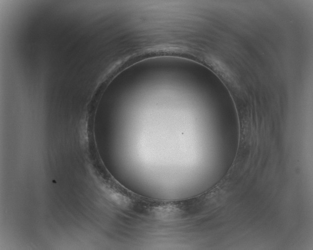 X0000072520112200607141208