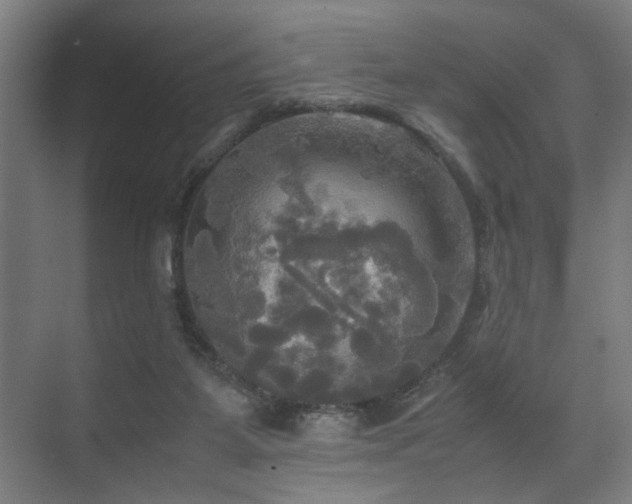 X0000072520115200607141208