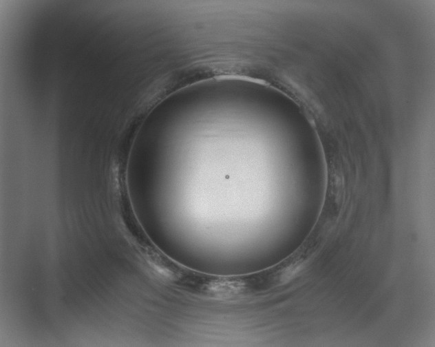 X0000072520117200607141208